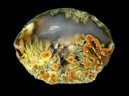 45 kms se on hwy 97 from kamloops and 25kms nw from falkland. Minerals Minerals Minerals Monte Lake Agate Minerals And Gemstones Crystals Minerals Rocks And Minerals