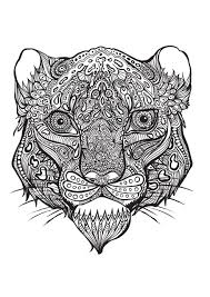 Bestiaire Extraordinaire 100 Coloriages Anti Stress Amazon De Hannah Davies Richard Merritt Cindy Wilde Fremdspr Ausmalbilder Malvorlagen Tiere Ausmalen