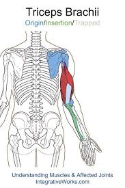 Pin On Trigger Points