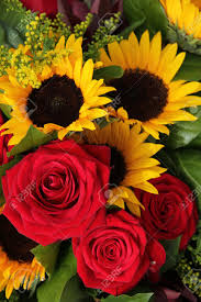 With sunflower arrangements for delivery, you can surprise. Big Red Roses And Sunflowers In A Floral Arrangement Stock Photo Picture And Royalty Free Image Image 20719836