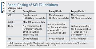 Sodium Glucose Cotransporter 2 Inhibitors An Overview
