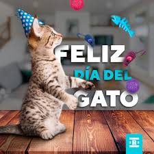 Ricocat - ¡Feliz día internacional del gato! ???? Sabías que… Bill Clinton,  por la muerte de su felino amigo Socks, instauró que cada 20 de febrero se  celebre el Día Internacional del