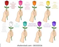 These stunners are a declaration of love. Vector Set Different Color Roses Meaning Stock Vector Royalty Free 581033536