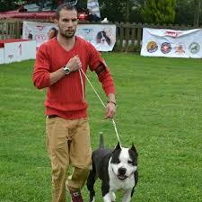 Bosphourus Terrier Show And Clup Show Istanbul Istanbulkopekegitimmerkezi Istanbulkopekegitimi Gurcandoganer Gurcandoganer Hand Kopek Egitimi Kopek Ikiz