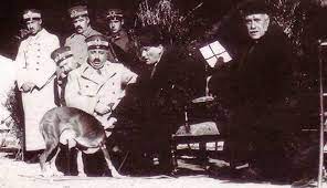 cukurova stratejik arastirmalar merkezi ataturk un kopegi foks un adana daki fotografi fotograf ayi savascilar
