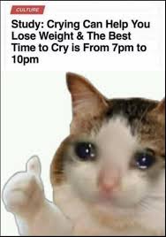Memes created for the average dungeons and dragons player and some made about me and my sounds perfect wahhhh, i don't wanna. Zdcjnidgtft3 M