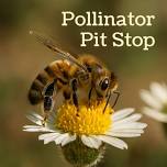 Pollinator Pit Stop