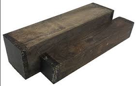 Image result for Inhambanella henriquesii