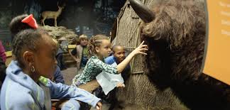 Recorded 31 may 2015 at falls of the ohio state park in clarksville, indiana. Falls Of The Ohio State Park Indoor And Outdoor Activities Fossils Wildlife History