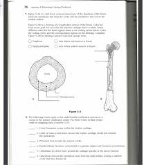 Jump to navigation jump to search. Solved 76 Anatomy Physiology Coloring Workbook 7 Figur Chegg Com