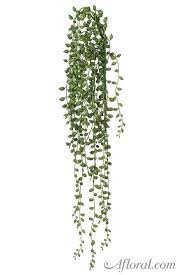 Pin On Greenery
