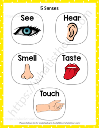 five senses chart a free printable pdf your home teacher