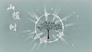 cover songs翻唱山楂树声入人心周深王晰刘彬濠 cover by irene gordon home decor decals ceiling lights decor