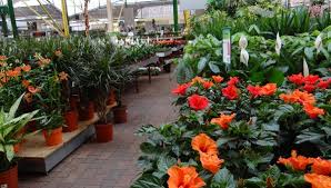 Besuchen sie gartencenter leurs für einen tagesausflug in venlo! Gartencenter Leurs Van Der Valk Hotel Venlo