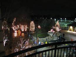Zoo Lights At The Toledo Zoo Taking The Kids Tonight Toledo Zoo Lights Zoo Lights Toledo