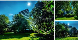 Gruner Wohngenuss Mit Gepflegter Gartenanlage Zu Verkaufe In 2020 Outdoor Decor Outdoor Park