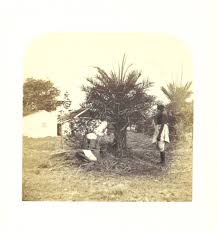 India 1850-1930 | PICRYL - Public Domain Media Search Engine collections