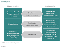 Diabetes Insulintherapie