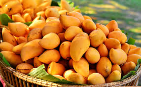Mango Season: When & Where to Find the Best Fruit