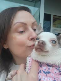 Sundays, for some, are days to spend with the family—relax, decompress,  enjoy. If you're out feeding abandoned dogs, it's a different story! This  past Sunday three beautiful dogs were discovered abandoned, hungry,