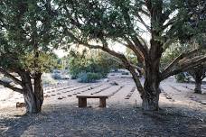 Best Friends Animal Sanctuary – Tree Audit