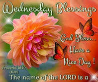 Good morning wednesday images, pictures, photos. Wednesday Blessings Quotes Pictures Photos Images And Pics For Facebook Tumblr Pinterest And Twitter