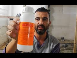 Guvercin Bit Ilaci Kumesde Mutlaka Olmasi Gereken Ilaclar Blotic Guvercin Bit Ilaci Bilotik Youtube