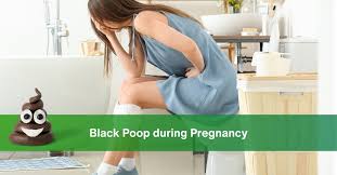 Image result for dark black stool human poop