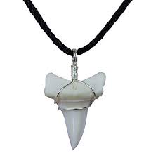 In the living shark, teeth are constantly produced and shed; Gemshark Real Bull Shark Tooth Necklace Hawaiian Beach Surfer Pendant Boy Girl Unisex Mimbarschool Com Ng