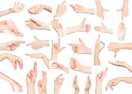 Image result for hands