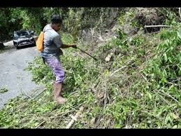 Many East Rural St Andrew residents counting their luck