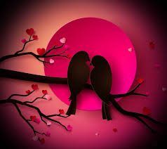 Best hd wallpaper, download best hd desktop wallpapers,widescreen wallpapers for free in high quality resolutions 1920x1080 hd, 1920x1200 widescreen, 1280x1024, 1600x1200, 1920x1400, 1280x800, 1440x900, 2560x1600, 720p, 1080p. Pink Love Birds Wallpapers Top Free Pink Love Birds Backgrounds Wallpaperaccess