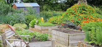 That means there is no need to spray it with chemicals. How To Build And Install Raised Garden Beds