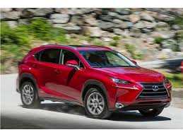 Image result for Matador Red 2017 NX
