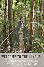 Things to do in taman negara. Welcome To The Jungle Taman Negara Jungle Trekking Adventure Asiana Circus Taman Negara Geek Travel Environmental Travel