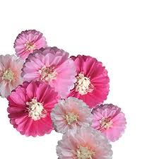 Vector pink iris floral botanical flower. Fonder Mols Pink Paper Flowers Tissue Pom Poms Blooms For Girl Baby Shower Nursery Decor Birthday Decorations 9pcs Rose Wantitall