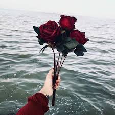 Flower Amazing Flowers Ocean Nature Rose Water Sea Https Weheartit Com Entry 324797785 Landscape Illustration Aesthetic Roses Aesthetic Wallpapers