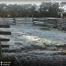 Jun 30, 2021 · em guaratuba, por exemplo, a máxima prevista gira em torno dos 15º c. Frio Recorde Em Curitiba E Em Porto Alegre Noticias Climatempo