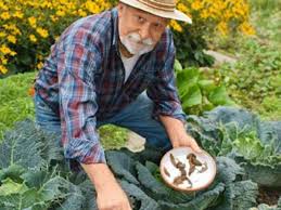 Genießen sie von einem schmetterlingsgarten mit unserem schmetterlingsfl ieder sortiment. Naturliche Schneckenbekampfung Die Besten Tipps Wohnen