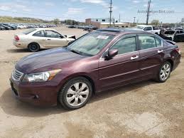 Image result for Dark Cherry 2010 Honda