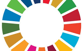 The 'multimedia' section features several videos and photos. The Sdgs And The Road Towards A Global Sustainable Development Strategy