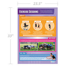 Amazon Com Exercise Sessions Pe Posters Laminated