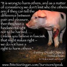 His duty is to bear witness for the. Bite Size Vegan This Is Just One Of The Many Powerful Quotes From