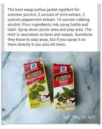 All wasps will defend their nests, but yellowjackets and hornets are the most aggressive. Yellow Jacket Repellent Diy Wasp Yellow Jacket Repellent Bee Repellent Useful Life Hacks Diy Pest Control