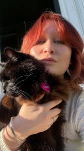 Embracing Copper Hair Trends in Christchurch with Your Trusted Hairdresser