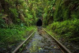 Abandoned Railway Line And Tunnel In Helensburgh Near Sydney In 2020 Abandoned Train Station Abandoned Train Abandoned