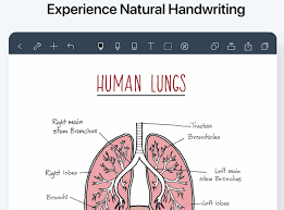 How can you change the handwriting recognition language? A Must Have For College Students Top 7 Note Taking App Recommendation Flexcil
