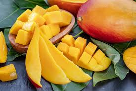 Image result for Mangifera