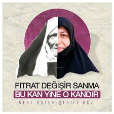 Nenehatun Serifeboz Mucahide Cihad Zafer Suriye Idlib Irak 15temmuz Gezi Geziparki Adliye Ingiliz Sozcu Meclis Miletv Gundogumlari Tarih Askeri