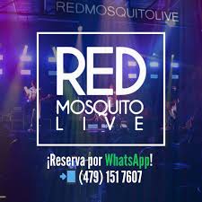 Red Mosquito Live
